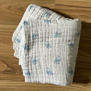 Aden + Aeneas Muslin Blanket